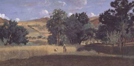 Jean Baptiste Camille  Corot Moisson dans une vallee (mk11)